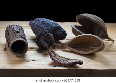 Dried decorative exotic seed pods
