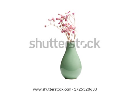 Dried decorative pink flowers in greenish ceramic vase isolated on white background. Macro and close-up.