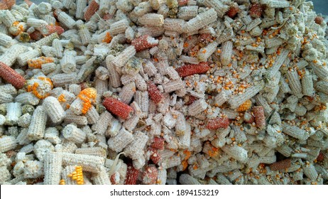 764 Corn Cob Empty Images, Stock Photos & Vectors | Shutterstock