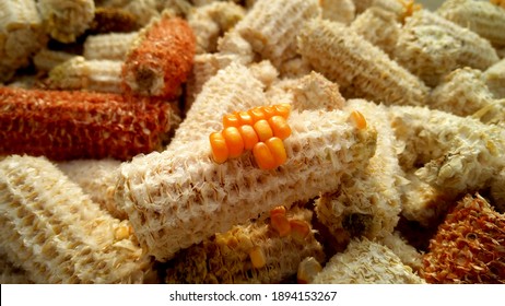 764 Corn Cob Empty Images, Stock Photos & Vectors | Shutterstock