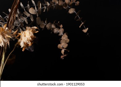 Dried Eucalyptus Branches On A Black Background, Dried Flowers, Dried Floral Arrangements