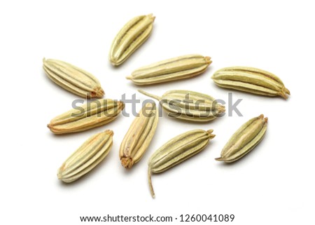 Dried fennel seeds isolated on white background, macro shot