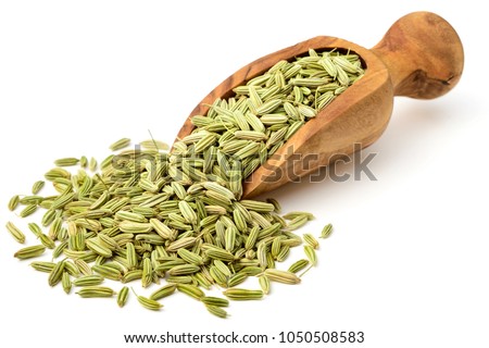 dried fennel seeds in the olive wood scoop, isolated on white