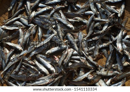 Similar – Image, Stock Photo ANCHOA CLUSTER Chrome