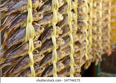 Dried Fish At Gwangjang Market In Seoul, South Korea