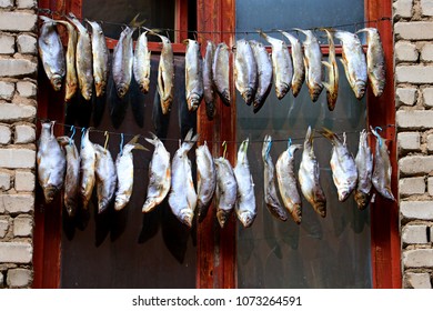 Dried fish on the wire