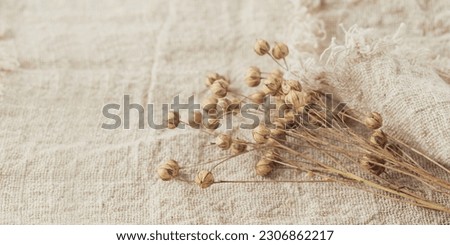 Dried flax plant bunch on pure linen fabric. Floral background in vintage style with copy space