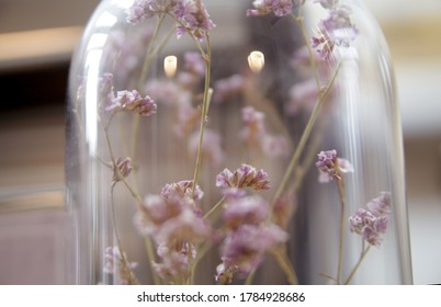 Dried Flower In A Glass Case