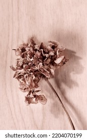 Dried Flower On Wooden Table  , Memories And Romantic Activity