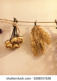Dried Flowers Hanging On The Wall
