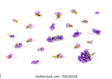 Dry Purple Flower Background High Res Stock Images Shutterstock