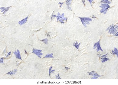 Dried Flowers On Gift Wrap