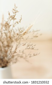 Dried flowers in the vase. kinfolk and minimalism style - Shutterstock ID 1831210552