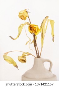 Dried Flowers In A Whiskey Jug