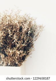 Dried Flowers In White Vase, Overexposed Photo