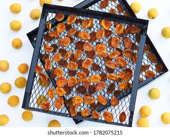 Dried Fruit Harvesting Season. Organic, Natural, Healthy Food. Dried Apricots In A Black Rack From The Dryer With Freshly Spread Apricots On A White Wooden Background. Dried Apricot Chips.