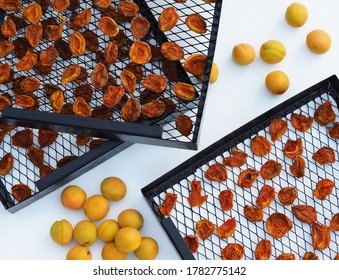 Dried Fruit Harvesting Season. Organic, Natural, Healthy Food. Dried Apricots In A Black Rack From The Dryer With Freshly Spread Apricots On A White Wooden Background.Dry Berries And Fruits At Home.