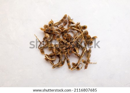 Dried fruits of Sophora japonica, top view. Medicinal plant Fruits and seeds are used in alternative medicine, contain rutin, fatty oils, linoleic acid.
