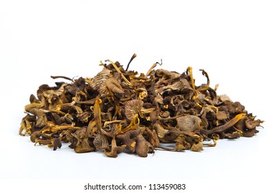 Dried Funnel Chanterelle