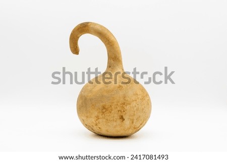 Dried gooseneck gourd, isolated on white