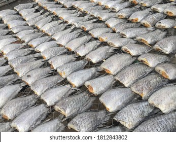 Dried Gourami Fish.dried Salted Snakeskin Gourami Fish With Spawn,
Both Fresh Fish And Processed Into Various Products Such As Sun-dried Fish.