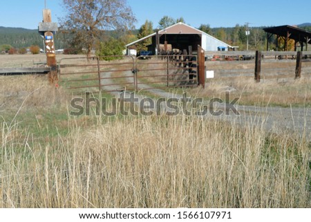 Dried grass frames an old barn along the Teanaway river near Cle Elum in eastern Washington