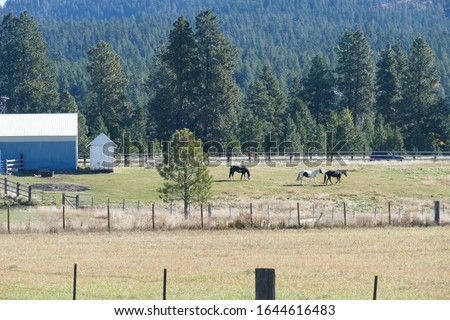 Dried grass frames an old barn along the Teanaway river near Cle Elum in eastern Washington