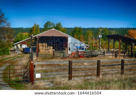Dried grass frames an old barn along the Teanaway river near Cle Elum in eastern Washington