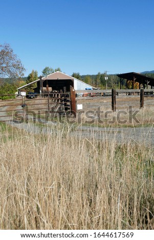 Dried grass frames an old barn along the Teanaway river near Cle Elum in eastern Washington