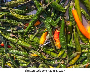 Dried Green Chili Closeup View