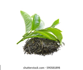Dried greentea leaf on white background