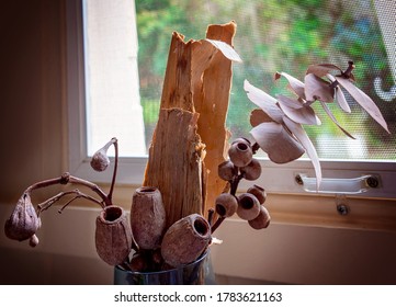 Dried Gumnuts And Bark Used As Table Decoration In An Australian Bush Food Restaurant.