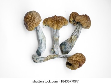 Dried Hallucinogenic Magic Mushrooms. Psychoactive Psilocybin Mushrooms. Dried Shrooms On White Background.