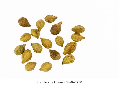 Dried Haritkai Or Harad (Terminalia Chebula) Fruits On A White Background,