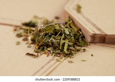 Dried Herbal Green Tea On A New Biodegradable Infuser Bags Close Up