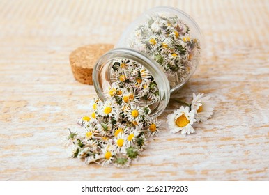 Dried herbal medicinal plant Common Daisy, also known as Bellis Perennis. Dry flower blossoms in glass jar and wood spoon, ready for making herbal tea, indoors still life. - Shutterstock ID 2162179203