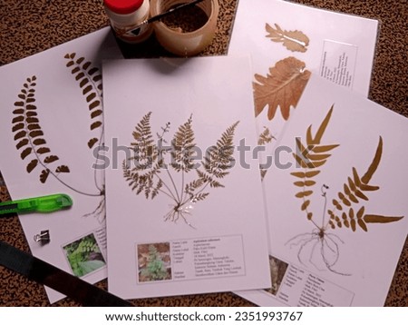 Dried herbarium is plant material that has been preserved by drying or also called dried herbarium specimens. These specimens are useful as supporting materials for learning biology