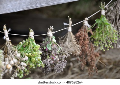 Dried herbs bound in bundles and hung on the rope. Close up, dark background.