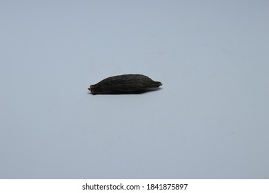 Dried Kapok Buds Or Marathi Moggu (Indian Spice) On A White Background