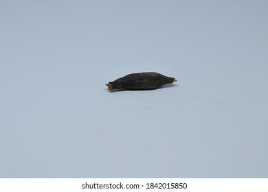 Dried Kapok Buds Or Marathi Moggu (Indian Spice) On A White Background