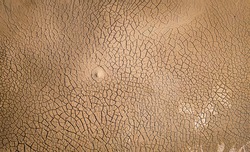 Dried Lake Bottom Surface Texture. Aerial Shot Of Dried Clay With Cracks, Flat View Directly Above