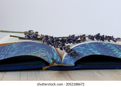 dried lavender branch on the spine of an old book on a wooden table, white background - Powered by Shutterstock