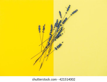 Dried Lavender Flowers On Yellow Background. Minimal Concept. Flat Lay