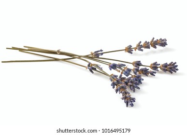 Dried Lavender Isolated On White