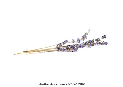 Dried Lavender Stems