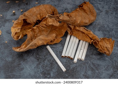 Dried leaves and cigarettes close-up; fine details and very high resolution for backgrounds.