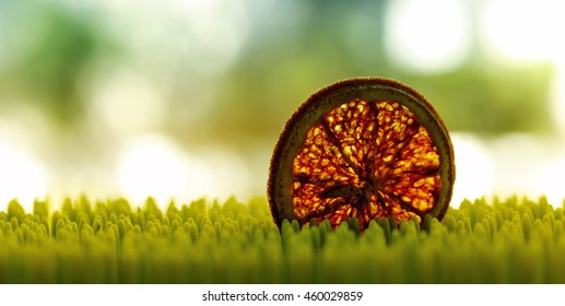 Dried lemon 