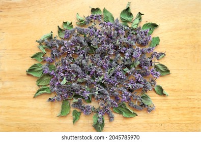 Dried Lemon Balm, Leaves And Flowers