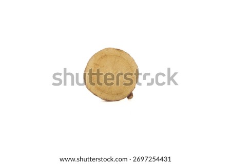 Dried licorice root slice showing natural wood grain texture, traditional Chinese herbal medicine ingredient used in natural remedies and wellness products.