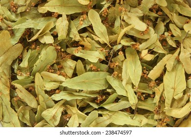 Dried Lime Blossom